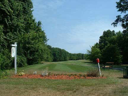 golfing image