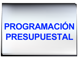 Programación Presupuestal